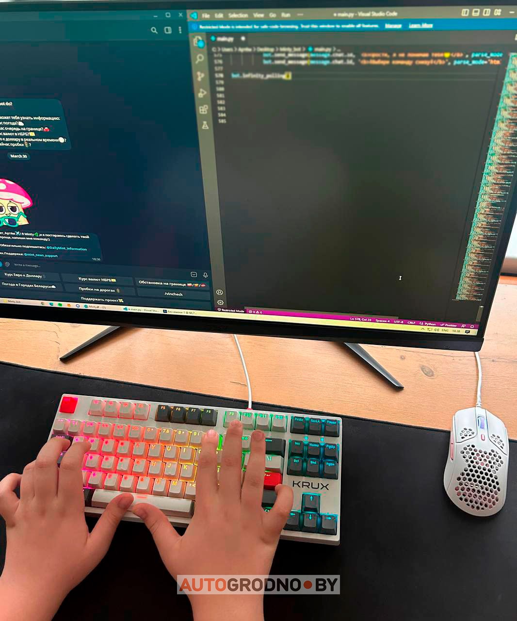 Телеграм бот написал 14-летний школьник из Гродно