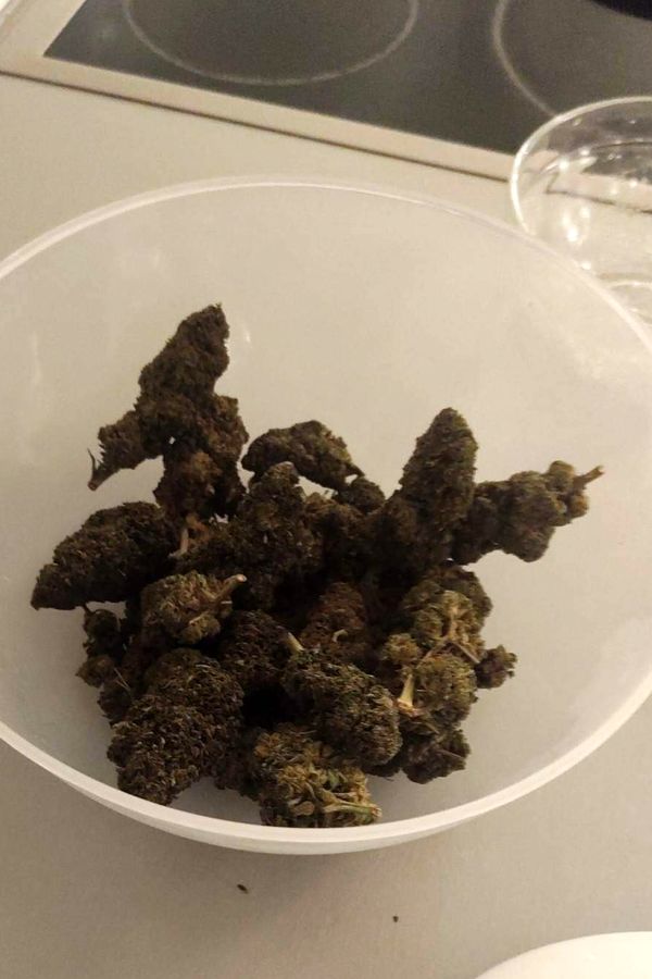 sopot nark bel 02 min