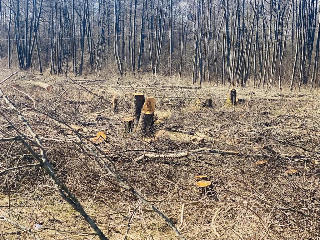 Кузница закрыта, а Польша начинает большую реконструкцию трассы S19. Первые фото