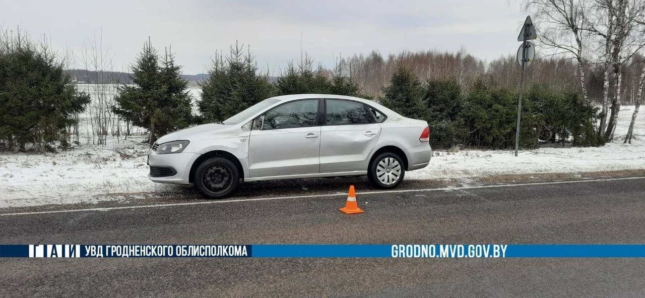 olekshitsy los 01 min