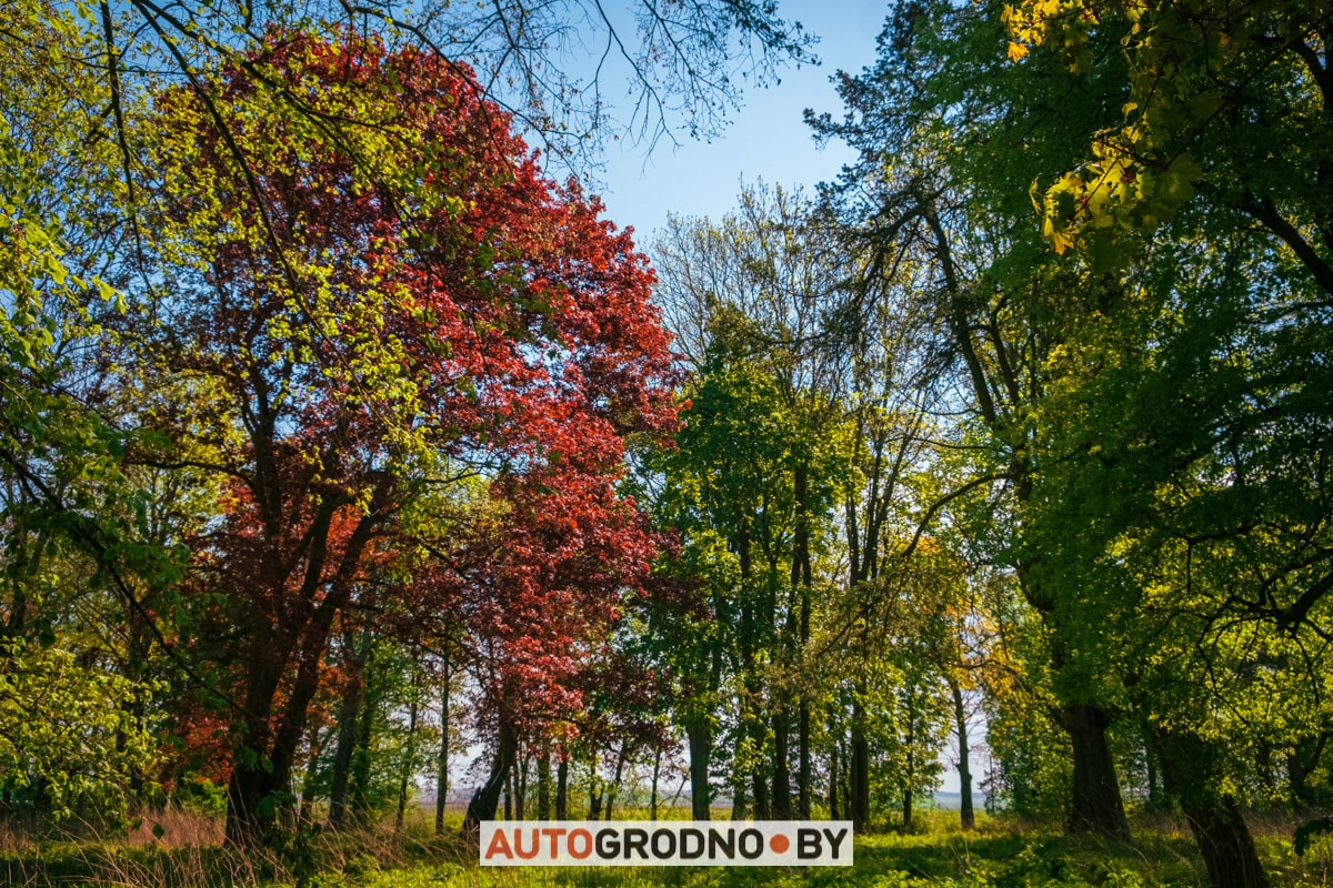 Усадьба де Вирионов