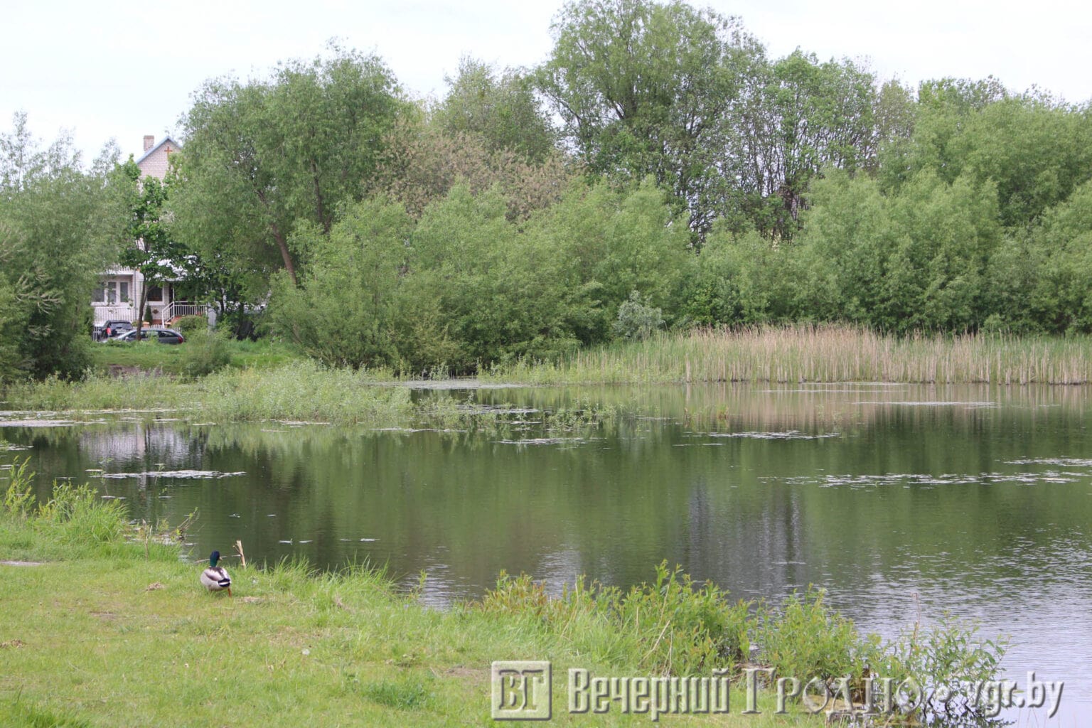 malahovichy kak zhivut 10 min