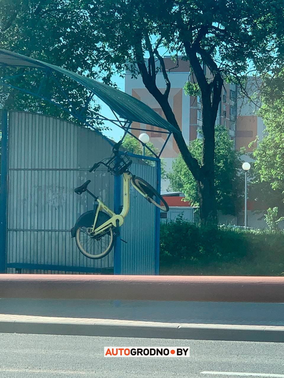 На остановке в Гродно повис велосипед Колобайк