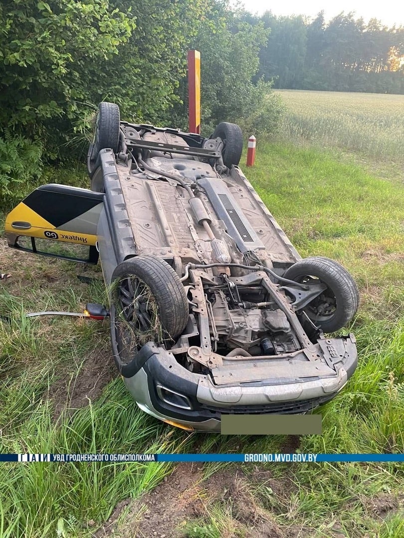 barsuk obochina renault 01 min