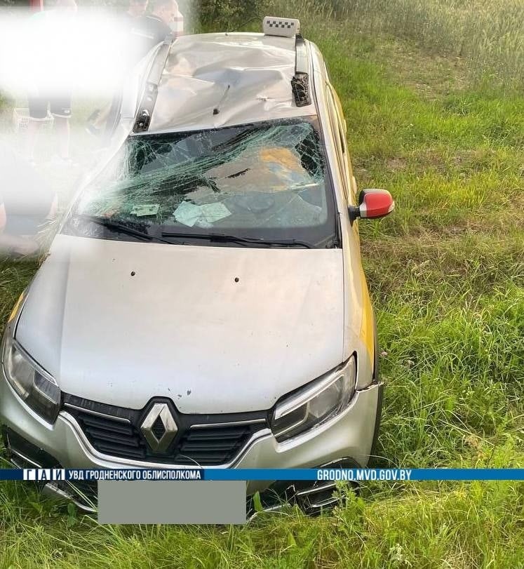 barsuk obochina renault 01 min