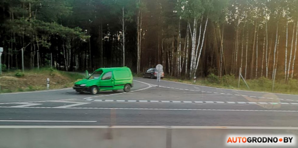 Рано утром на трассе М6 сбили лося