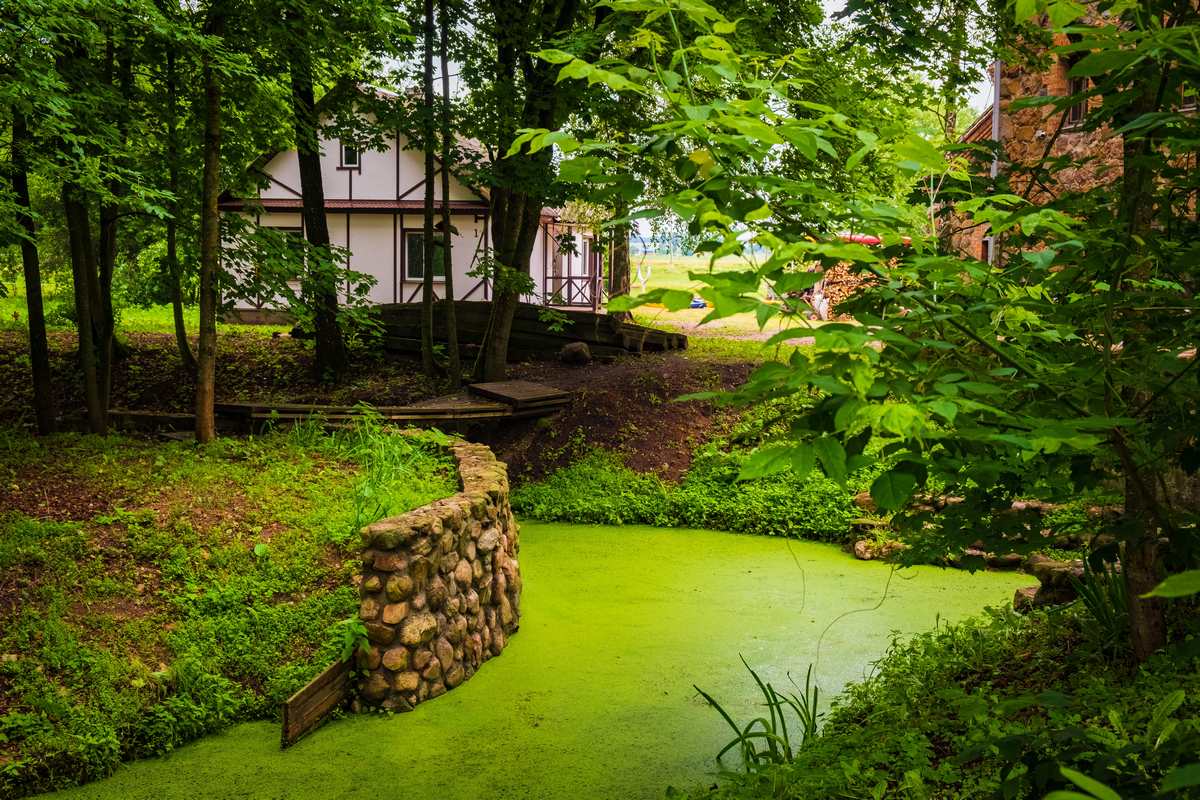 poezdka vuhodnogo dnia 2 02 23