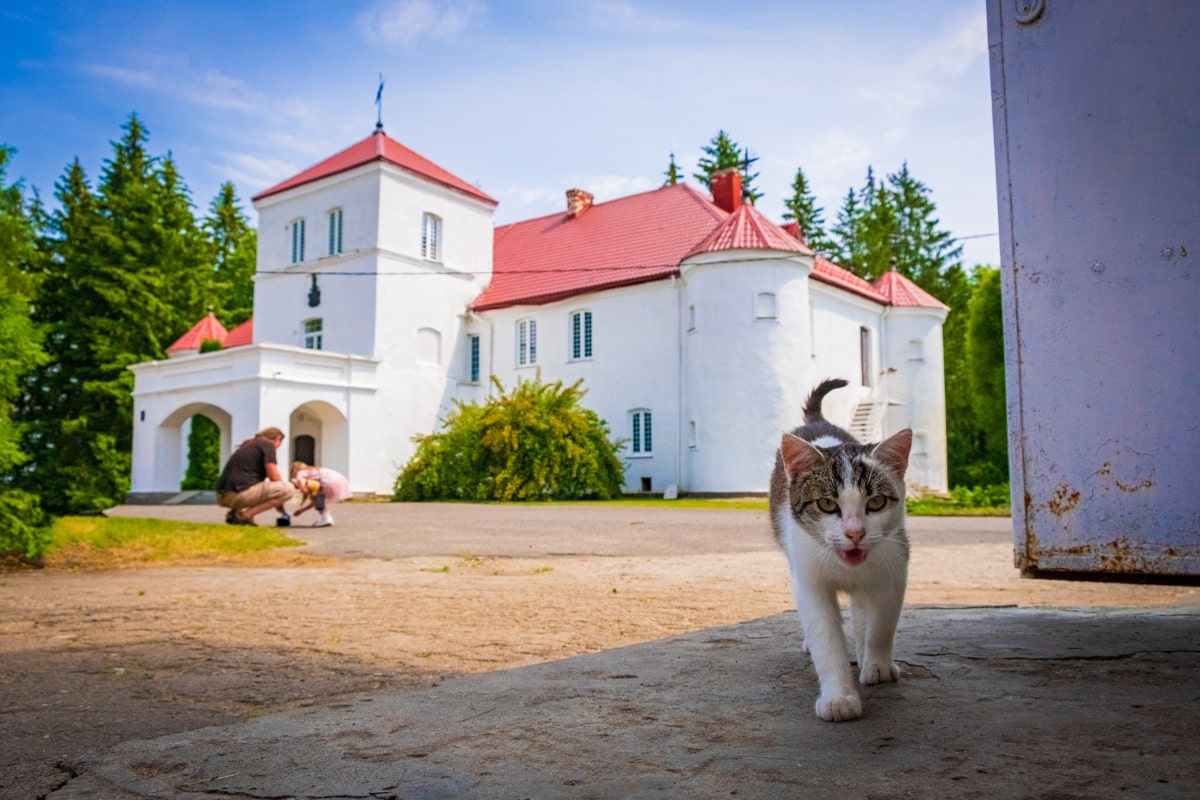 Тур выходного дня Гродненская область