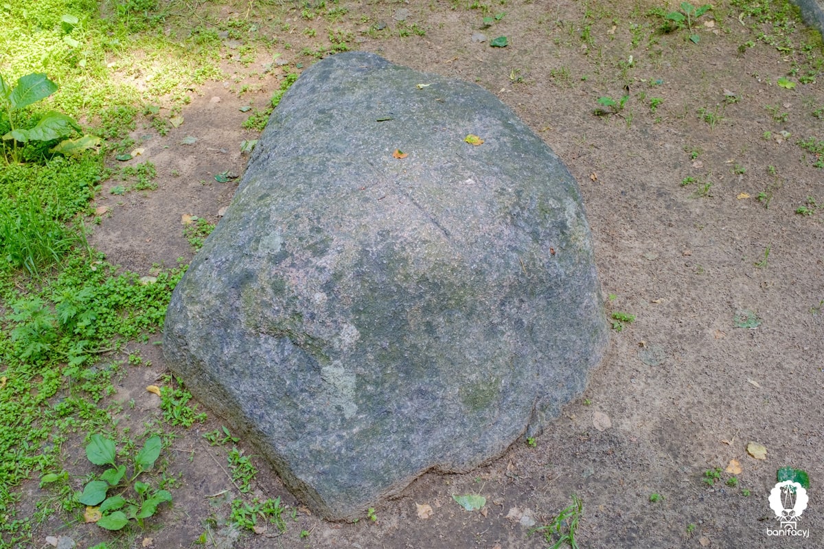 Тур выходного дня Гродненская область