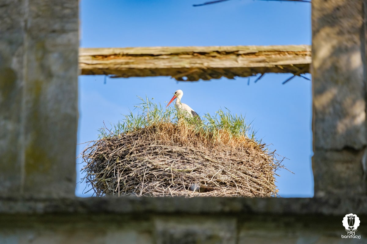 Тур выходного дня Гродненская область