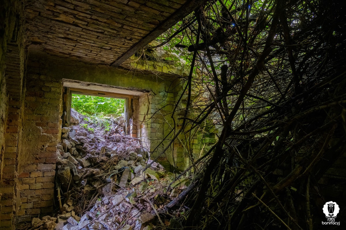 Тур выходного дня Гродненская область