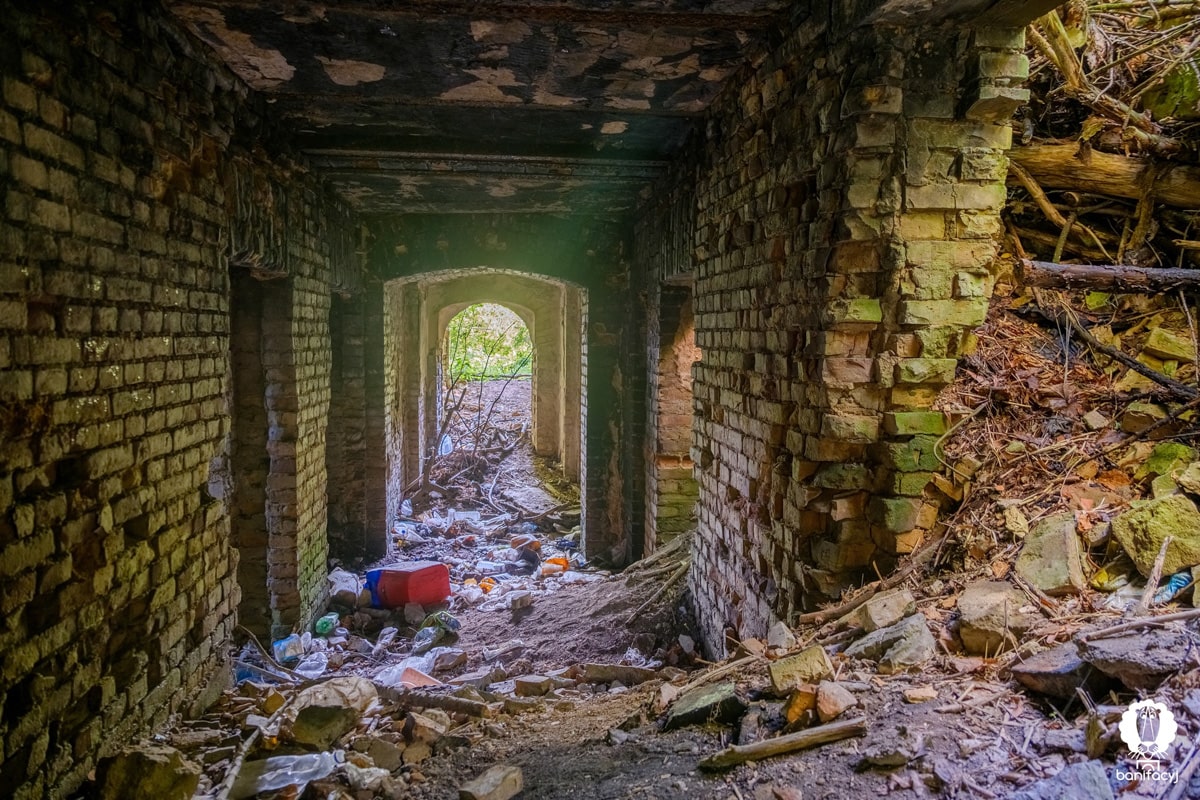 Тур выходного дня Гродненская область