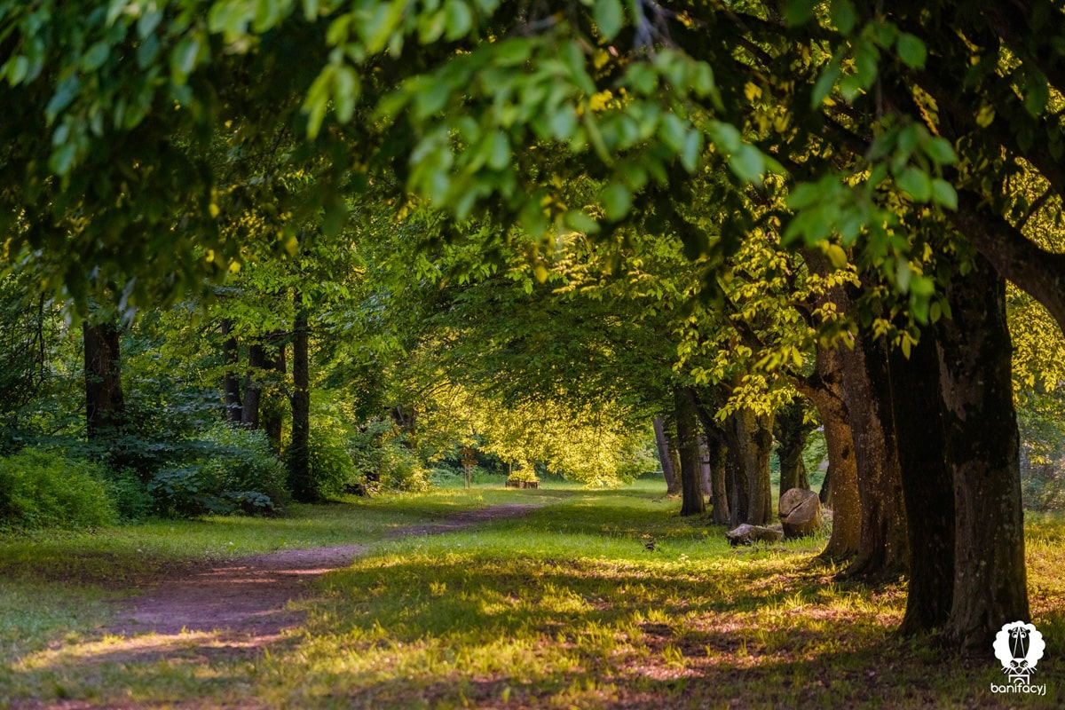 Тур выходного дня Гродненская область