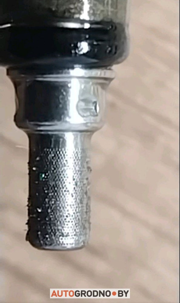 Посмотрите, какие сейчас выпускают топливные фильтры – выводят из строя двигатели. Случай в Гродно