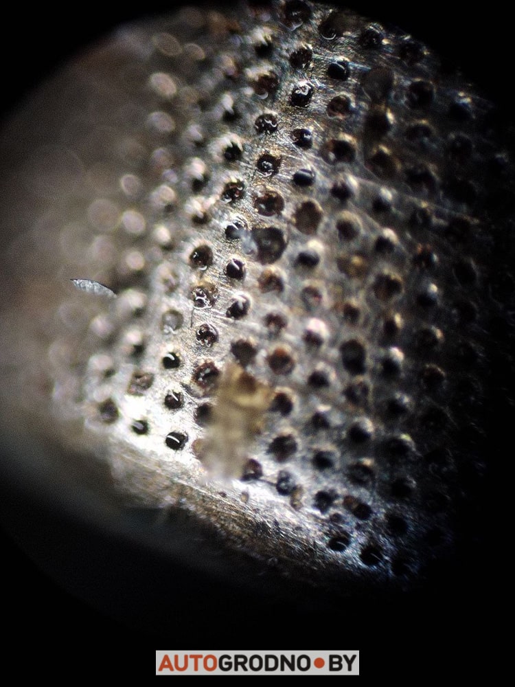 Посмотрите, какие сейчас выпускают топливные фильтры – выводят из строя двигатели. Случай в Гродно