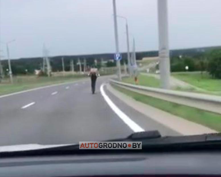 80 км на самокате по Гродно: посмотрите, каких участников движения встретили на объездной