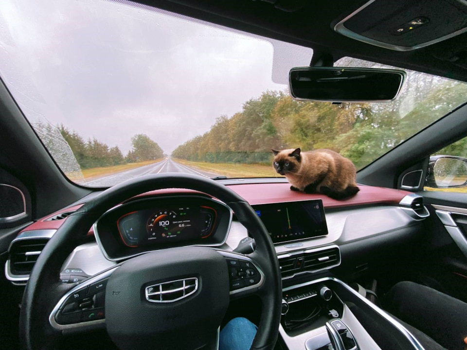 geely coolray отзыв владельца 100 000 километров пробега