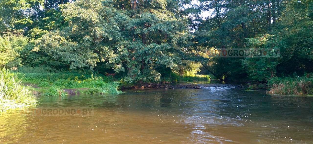 В реке Лососянке неожиданно нашли снаряд ВОВ