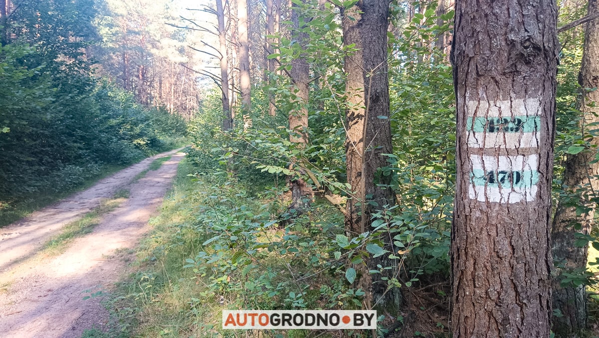 Веломаршрут августовский канал Гродно схема