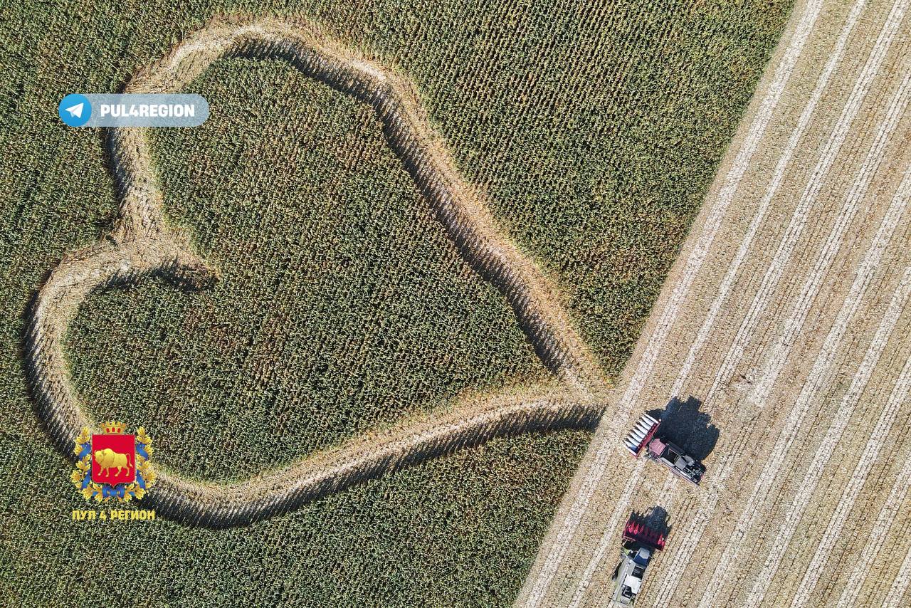 Мастерство: белорусские трактористы создали огромное сердце в полях возле Зельвы