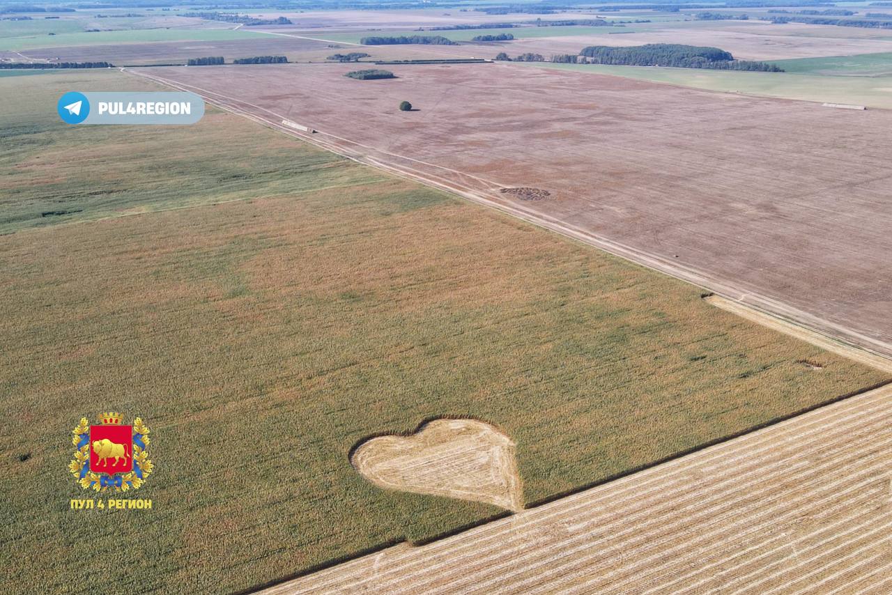 Мастерство: белорусские трактористы создали огромное сердце в полях возле Зельвы