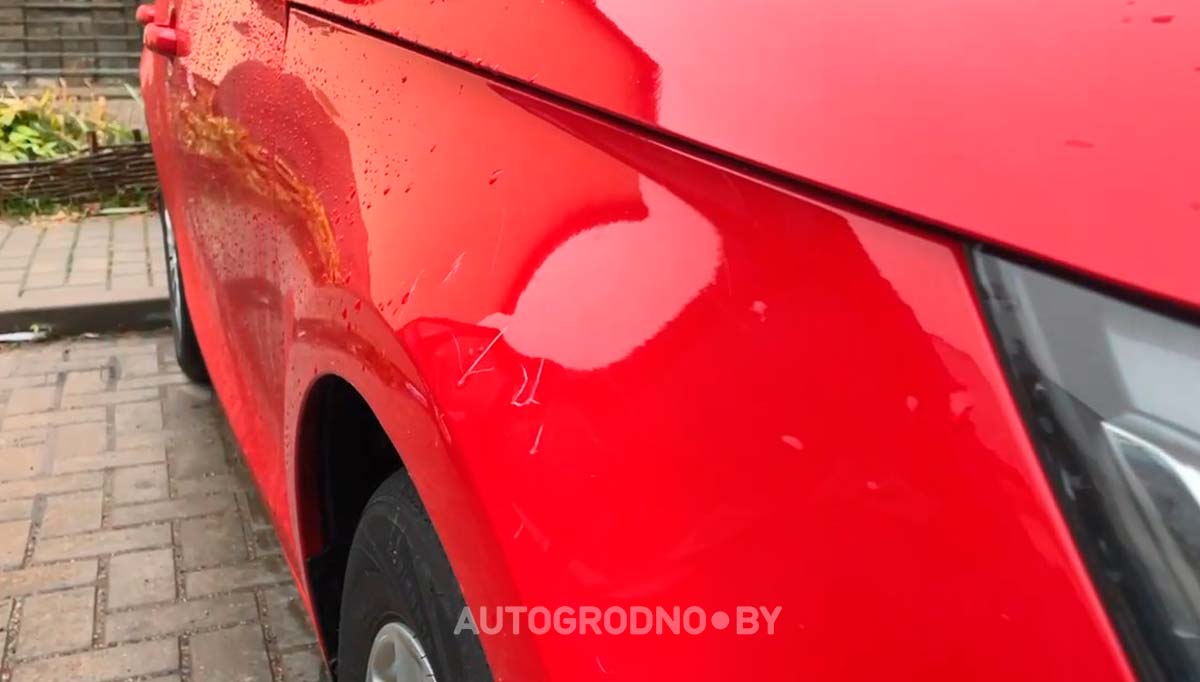 Собаки погрызли автомобиль девушки из Гродно. Сейчас она считает ущерб