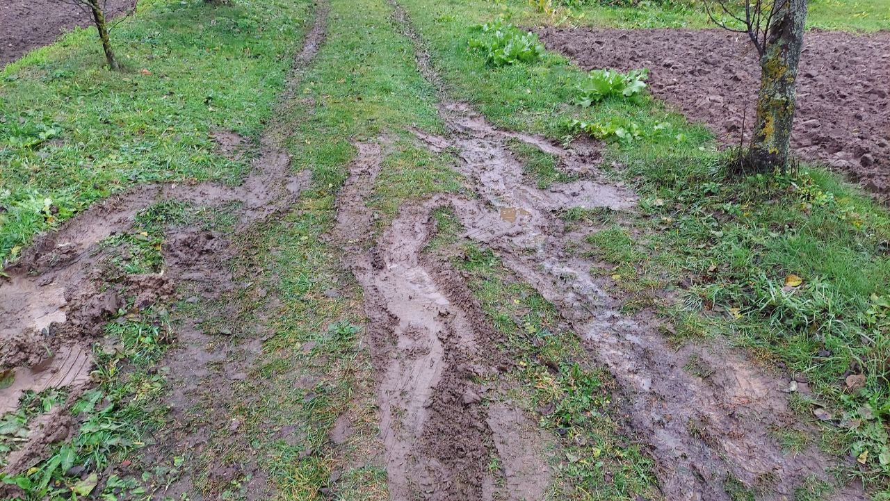 Ржавый Фольксваген Пассат в Беларуси