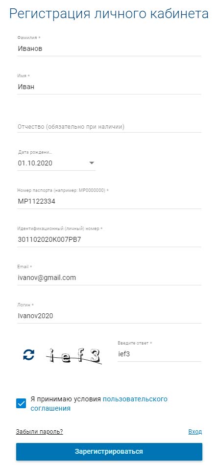 Проверка штрафов Беларусь - вводим личные данные