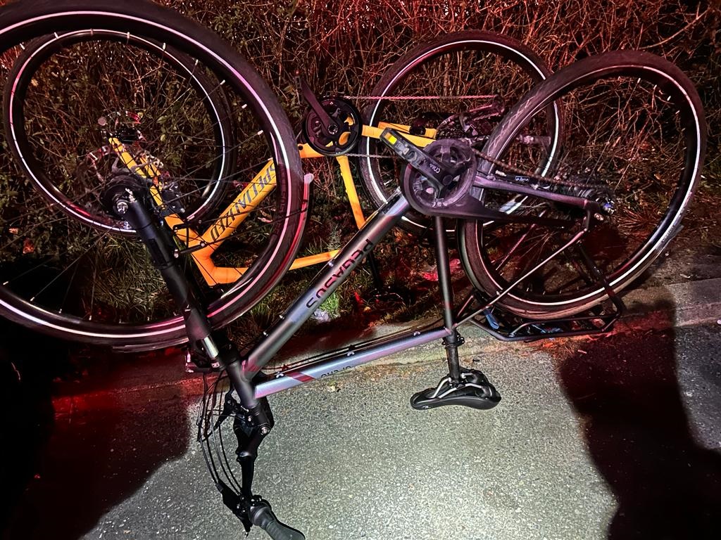 polsha elektro velo bel 03