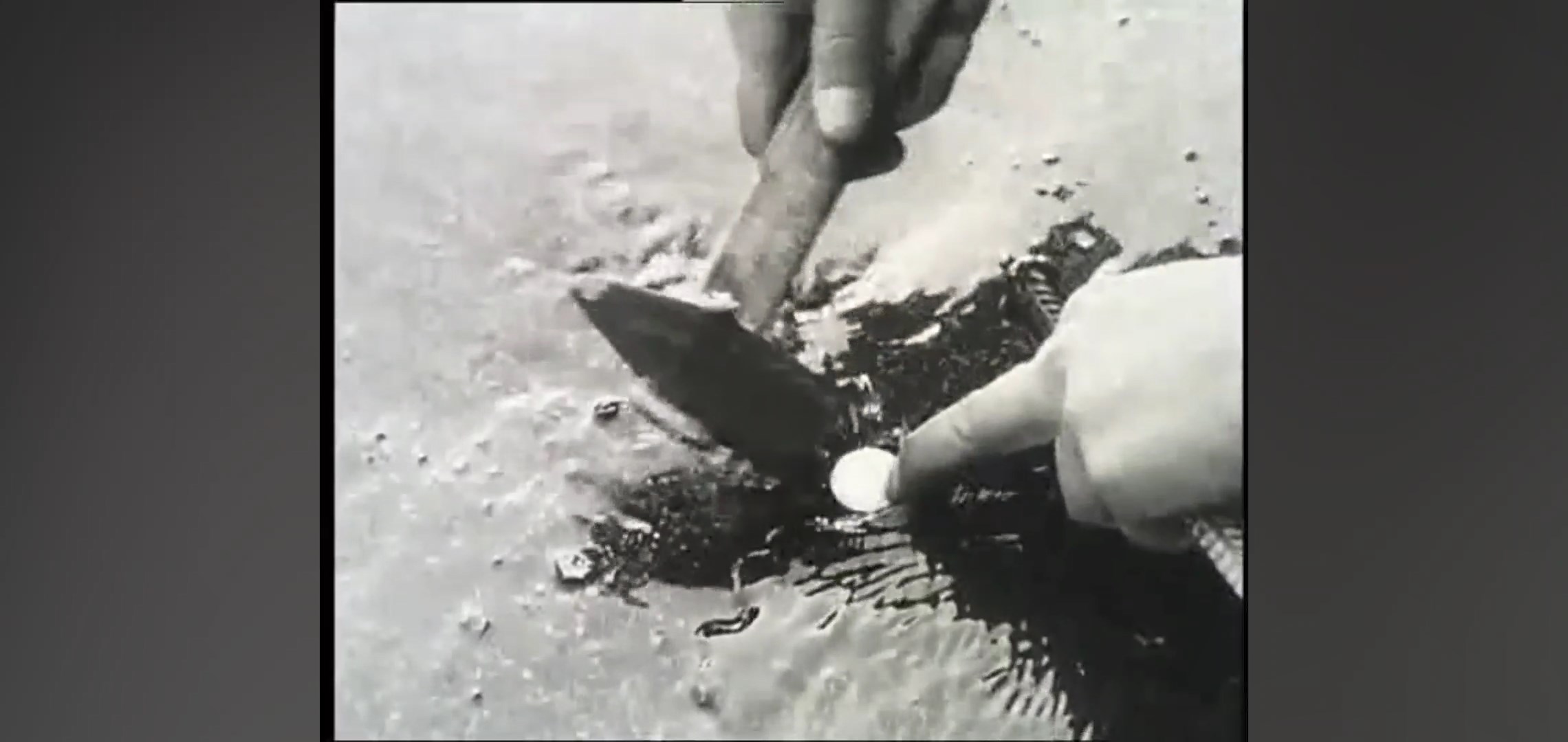 1967 год - социальный эксперимент в Гродно - скрытая камера