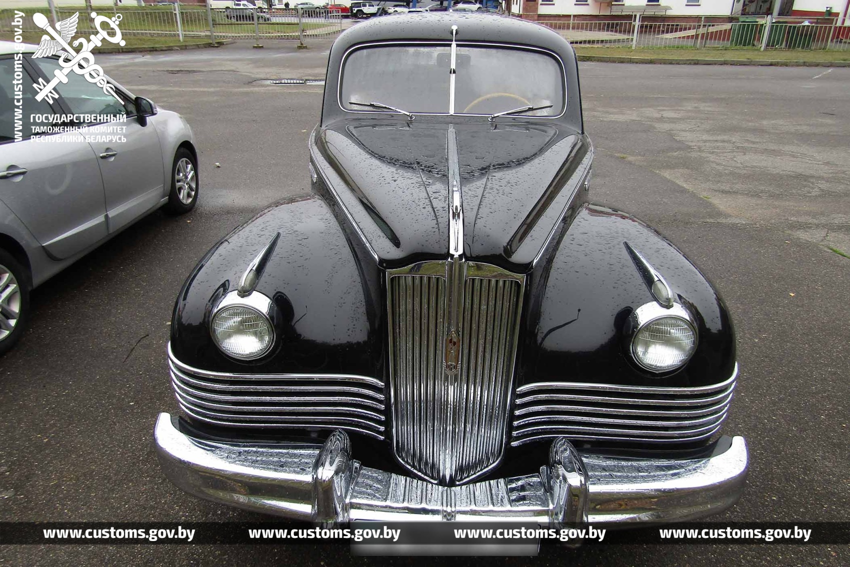 zis kam log raritet 01