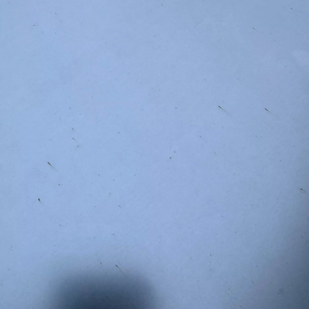 Несколько владельцев Tesla Cybertruck жалуются на появление на нем пятен ржавчины, хотя у него кузов из нержавеющей стали