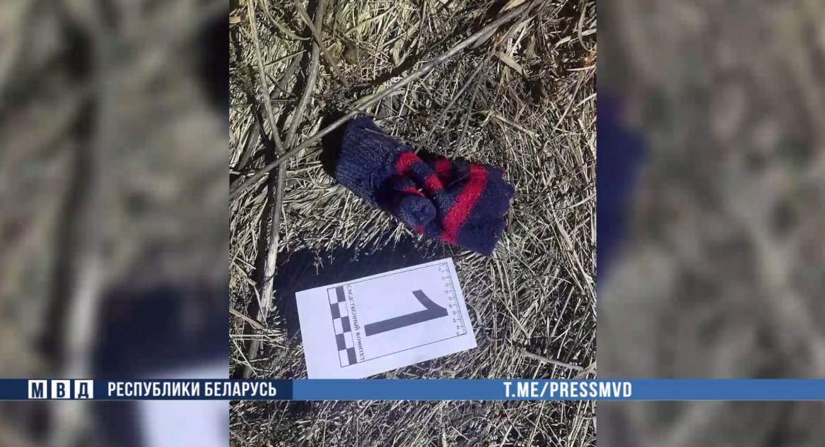 pokryshka zhodino 09 03 01