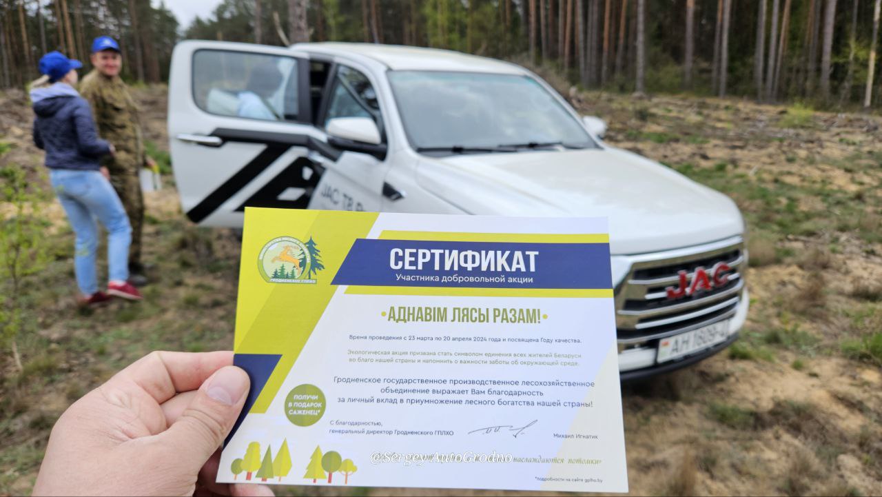 АвтоГродно и Гродноавтосервис высадили деревья в лесу под городом. Как сделать то же самое?