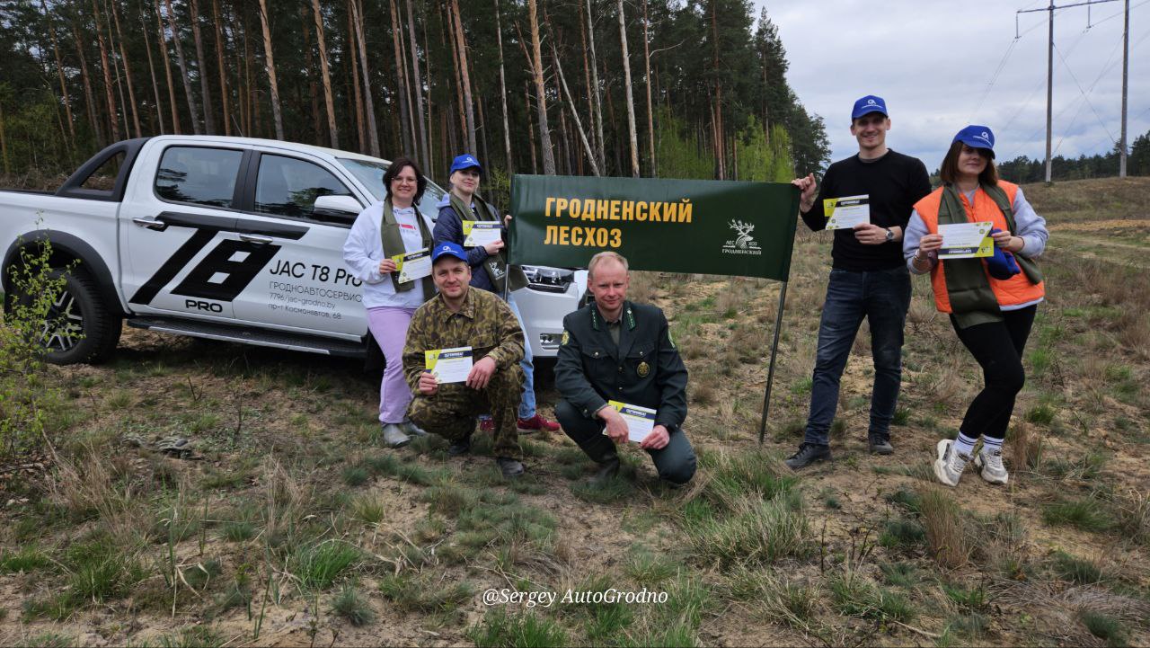 АвтоГродно и Гродноавтосервис высадили деревья в лесу под городом. Как сделать то же самое?