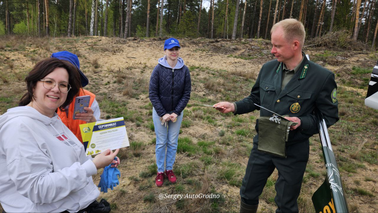 АвтоГродно и Гродноавтосервис высадили деревья в лесу под городом. Как сделать то же самое?
