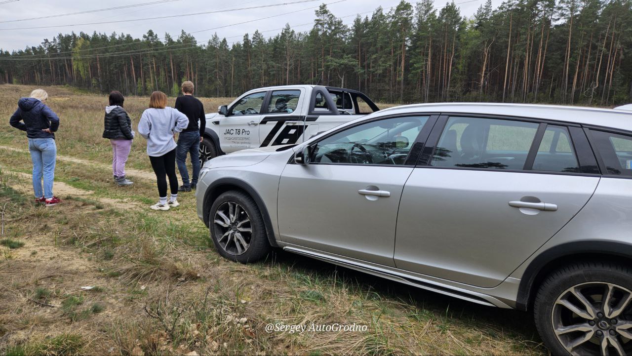 АвтоГродно и Гродноавтосервис высадили деревья в лесу под городом. Как сделать то же самое?