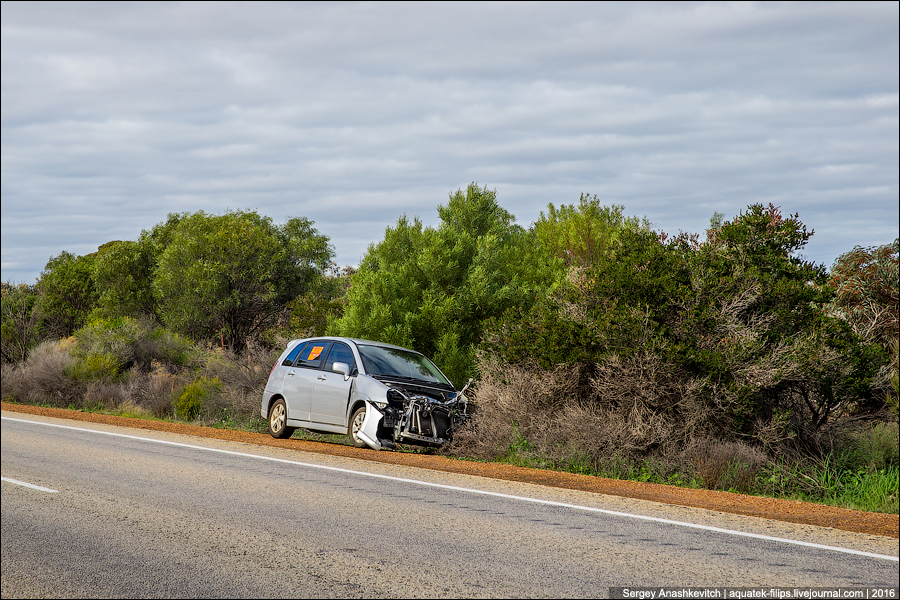 kenguru volvo pas 01