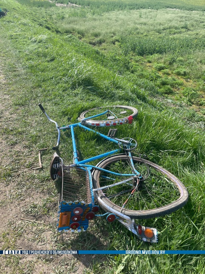 novogrudok velo 29 04 02