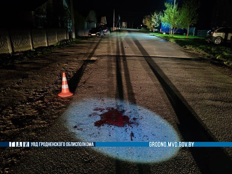 qadrik perevorot smorgon 01