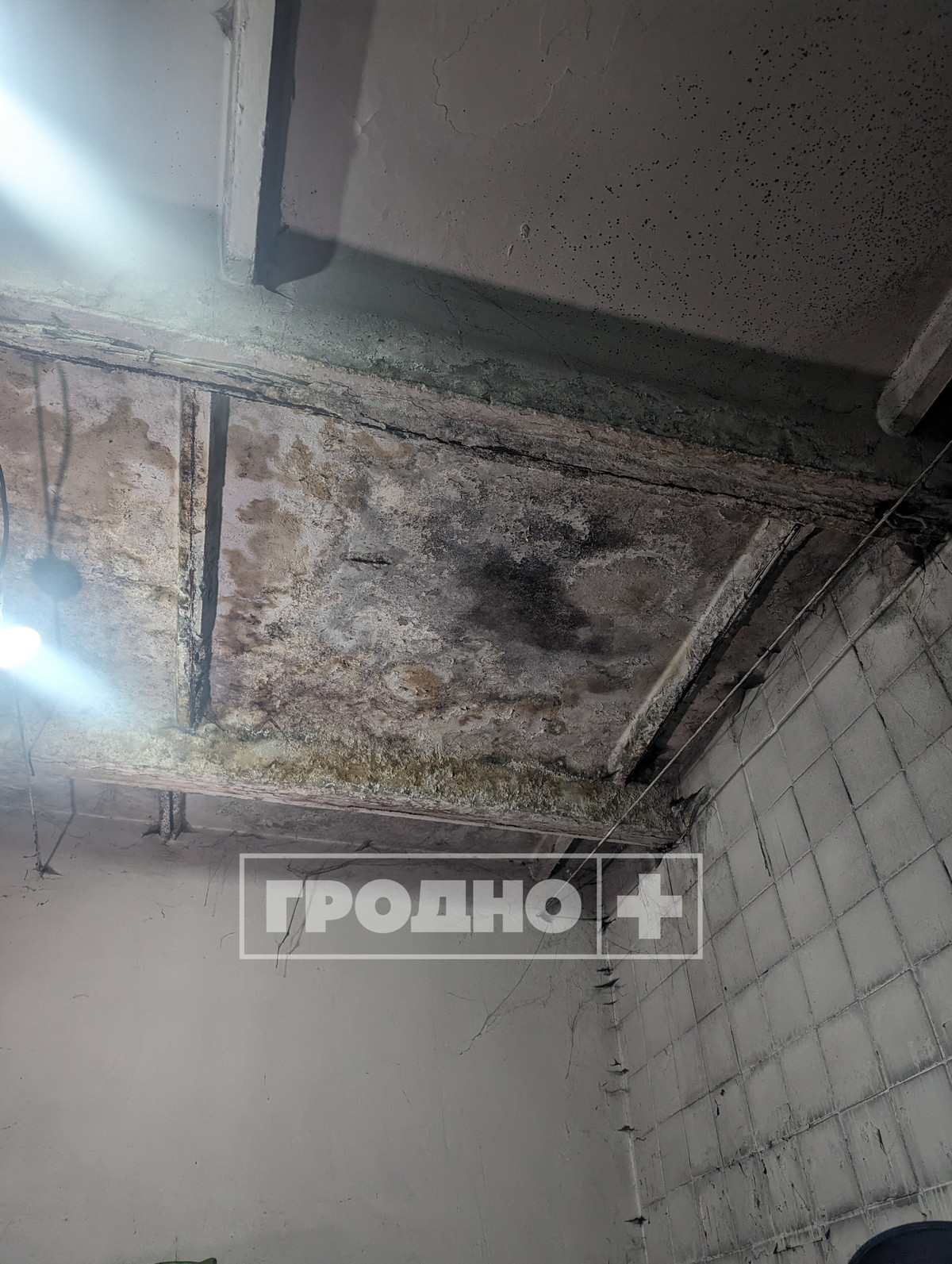 В Гродно началась проверка СТО. Посмотрите, какую картину увидели инспекторы в первый день