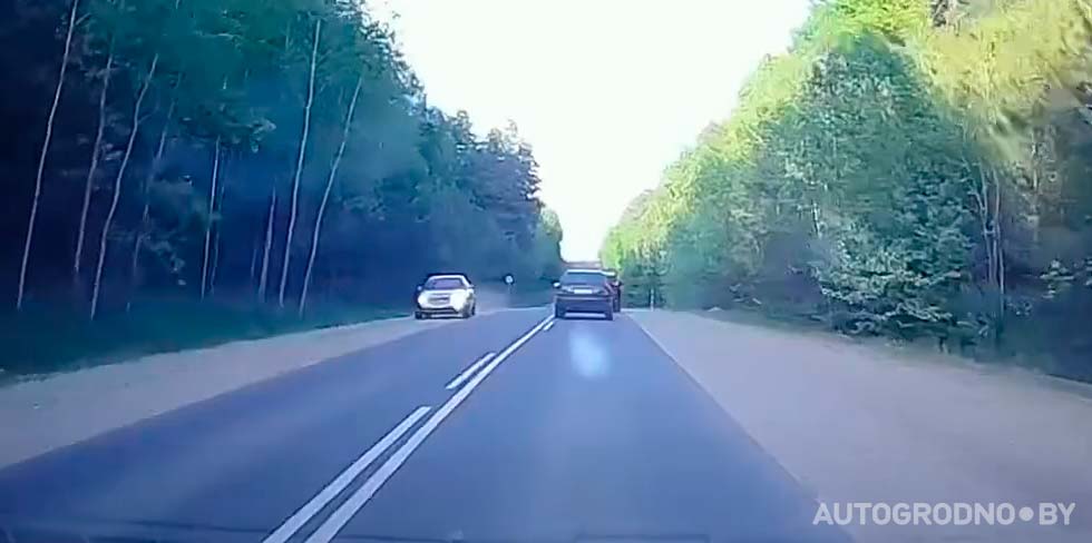 olshanka gonschik 01