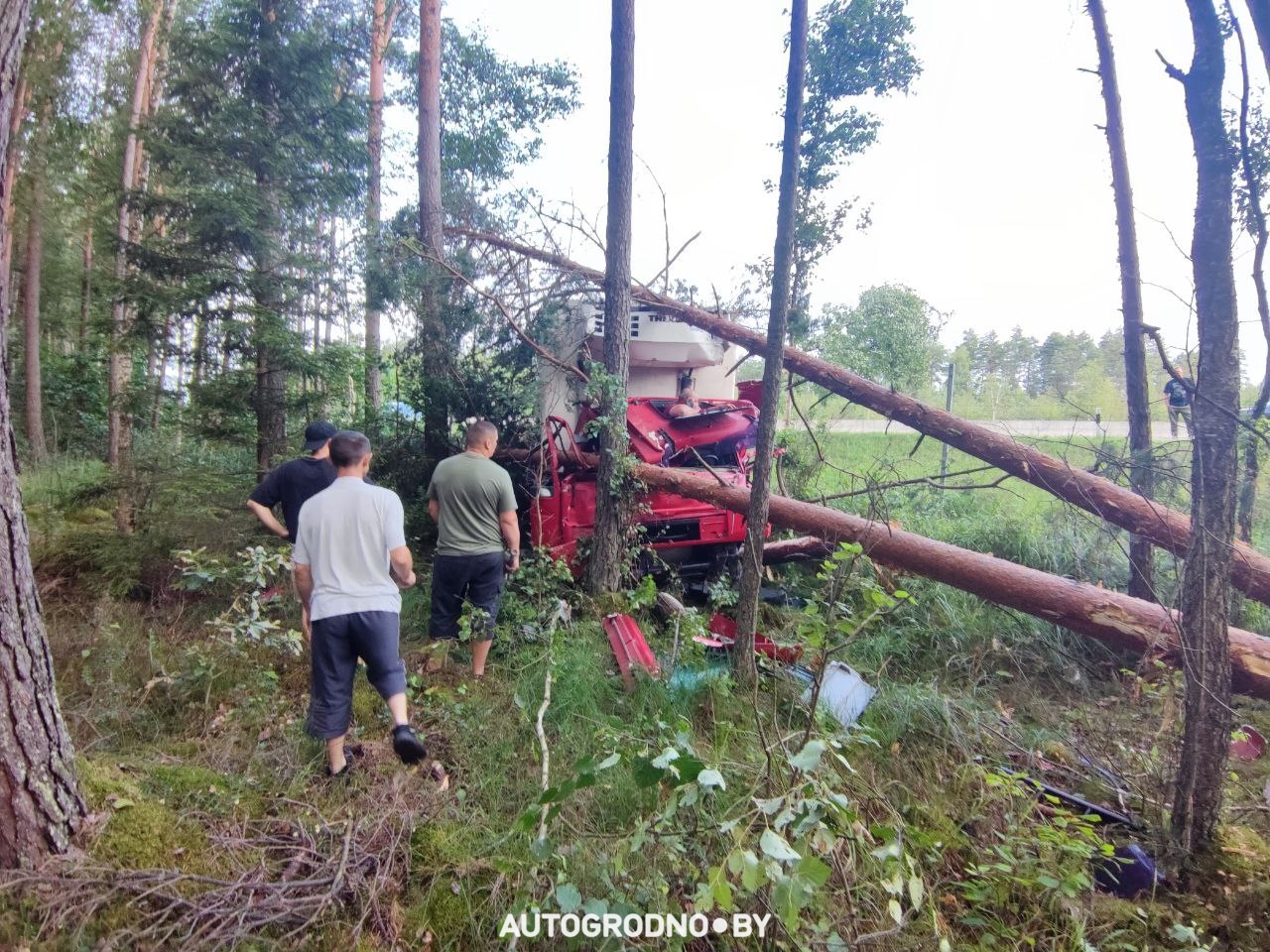 m6 man 15 07 24 ivje 01