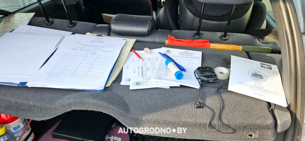 Ралли в Гродно 2024