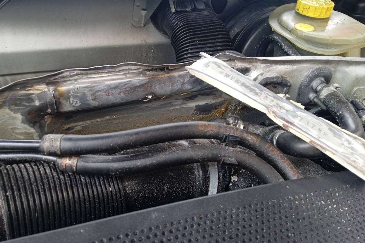 passat vin prodal 28 08 01