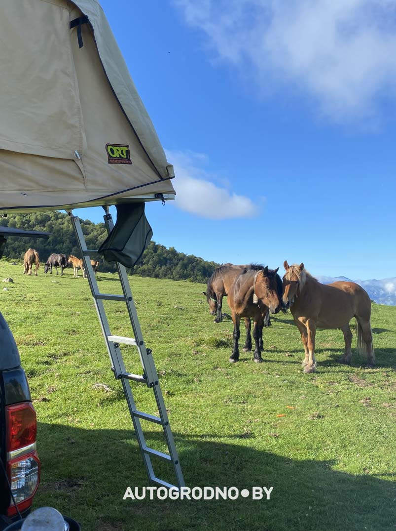 Португалия