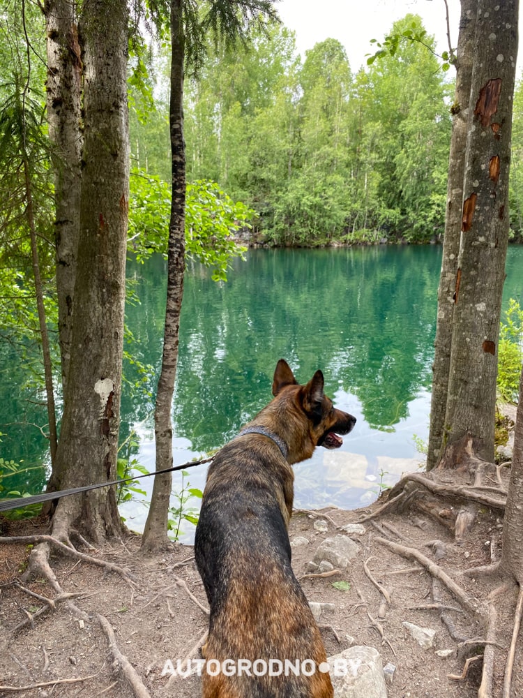 Териберка - путешествие из Гродно Беларуси