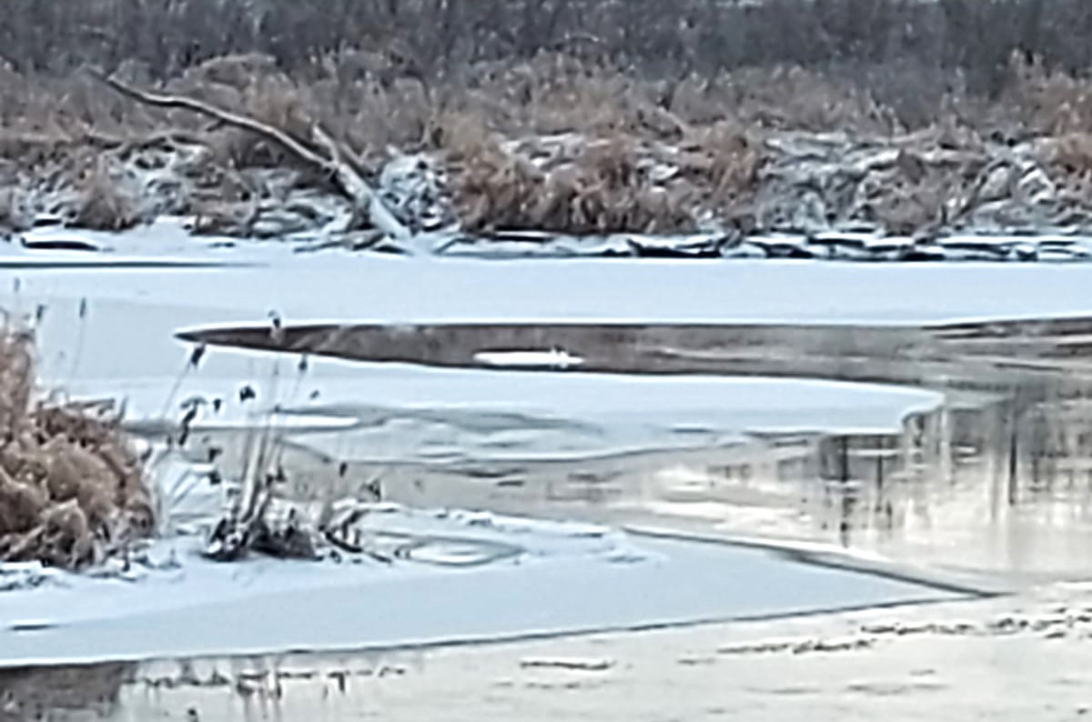 neman litva sig 17 02 01