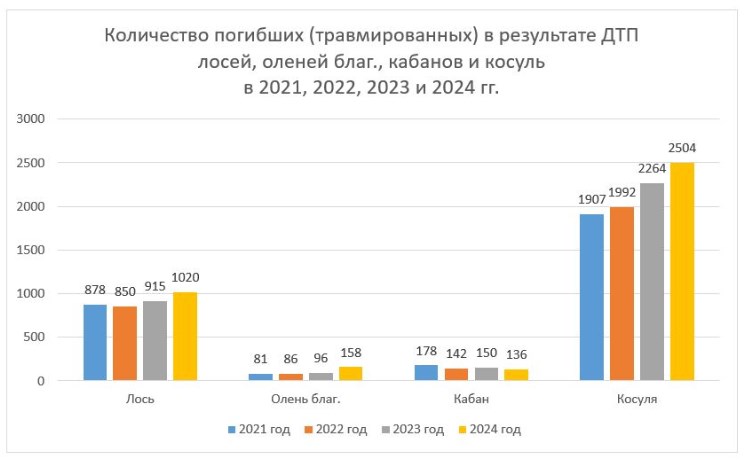 dtp zhiv itog 2024 02