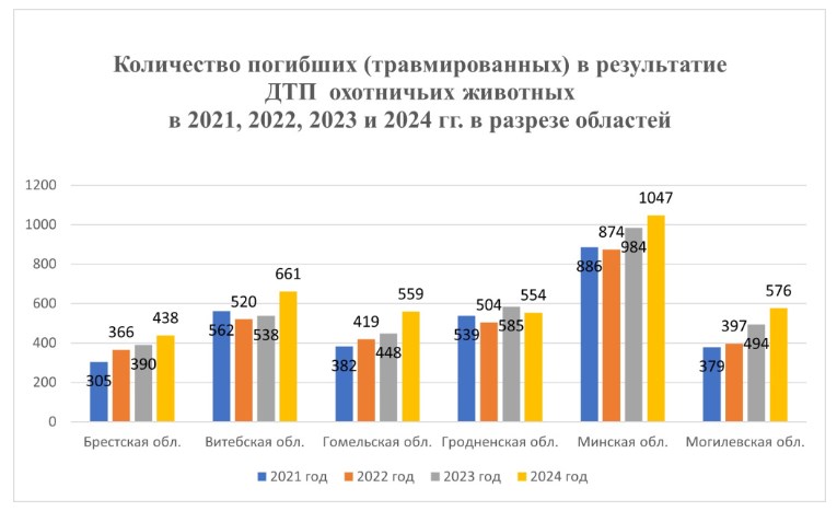dtp zhiv itog 2024 02